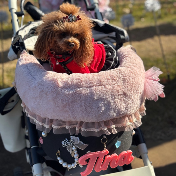 DECODECOキャンディチャーム