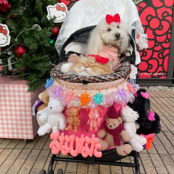 DECODECOキャンディチャーム